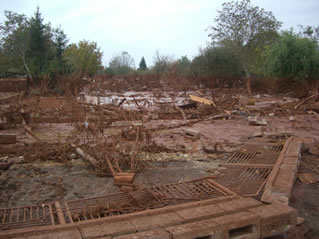 赤泥津波が破壊した塀や樹木（デヴェチェル市）